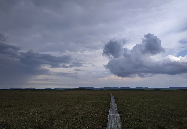 あまりないとは思いますが、もし空港で時間を持てあましたら……。