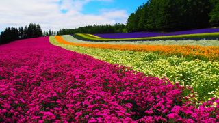 間違いなしの絶景が楽しめます