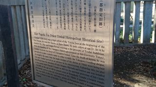 毛髪を納める生々しさ