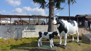 温泉街の地図をもらってます