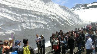 室堂平は雪が深く歩くのが困難でした