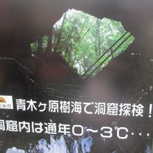 樹海に観光地も