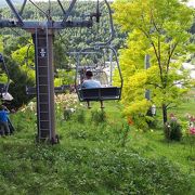 夏は冬とは違った景色を楽しめる