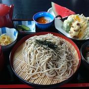 春は綺麗でしょうね。芝ざくら公園に蕎麦を食べに。