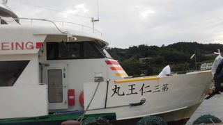 キャンペーン中