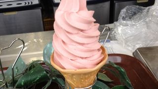 おすすめですが、お客さんでいっぱい。