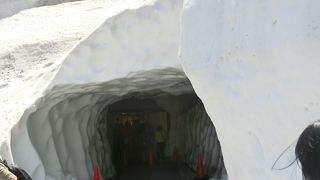 アルプスの山々や黒部湖が展望できました