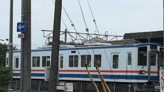 常総線一日フリーキップで「あけのひまわりフェスティバル」に行きました