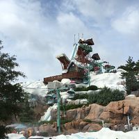 ディズニー ブリザード ビーチ ウォーターパーク