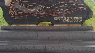 ゆらりとした空間