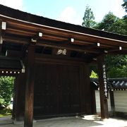 梅雨の苔寺