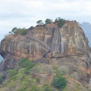 森の中から突き出たシギリヤロックの姿を頂上から眺めることができます。