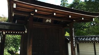 梅雨の苔寺