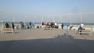 ワイヤーで囲まれていました