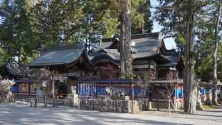 境内には美しい梅