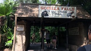 現在は、『ゴリラ・フォールズ・エクスプロレーション・トレイル』という名前です。