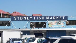 シドニーの魚市場  新鮮な魚介を食べられる