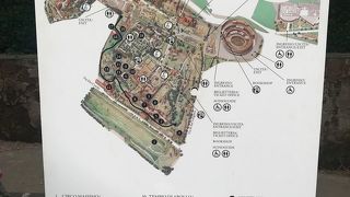 リアルタイムで見てみたかった