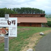 ぶどう畑に囲まれた落ち着いたお店