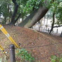 境内の高くなっている部分。