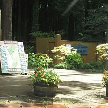 秩父宮記念公園