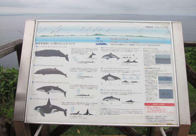 クジラの見える丘公園 クチコミ アクセス 営業時間 羅臼 らうす フォートラベル