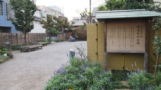 樹齢80年の黒松がお見事！