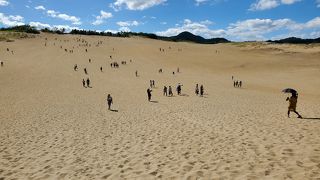 夏の砂丘は暑かった