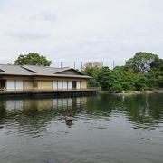 落ち着いた雰囲気の日本庭園