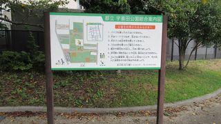 運動公園