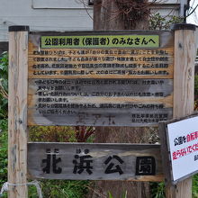北浜公園