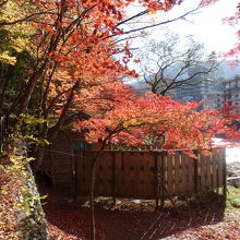もみじの湯