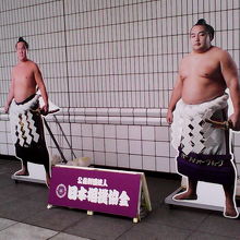 フォトスポットの力士が最近の横綱に変わってました