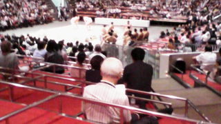 升席にも座れる「稽古総見一般公開」など本場所以外の魅力も一杯