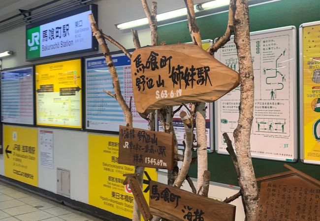 ミステリアスな地下駅です。地下道が長いです。