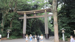 広大な東京の森は空気が爽やかで癒されます。