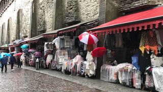 眺めるだけでも面白い