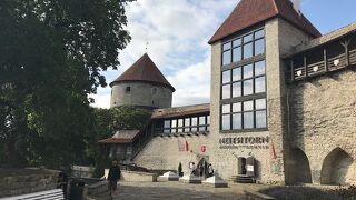 見どころがたくさん