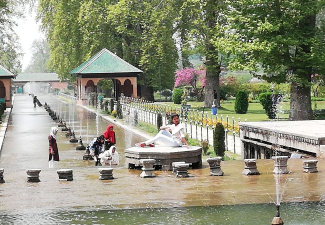 シャリマー バーグ