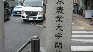 地下鉄出口すぐ