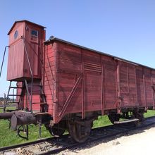 ギュウギュウ詰めにされて…