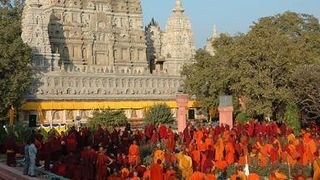 大変高い波動を感じ、何をする事もなく何時間もただ座っていました。