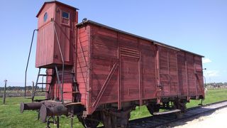 こちらの方が広大