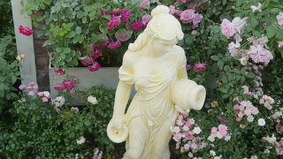 バブリーな施設　涼しくていいが．．クラウドフォレストとセットで28ドル