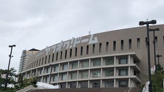 ライブで行きました