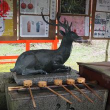 奈良の春日大社と同じ鹿が手水舎に。