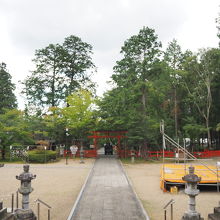 本殿前からの風景です。