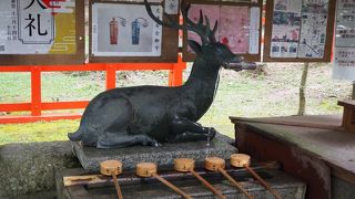 ひまわりを楽しんでからお参りしました