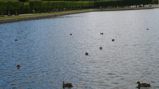 噴水の素晴らしい庭園