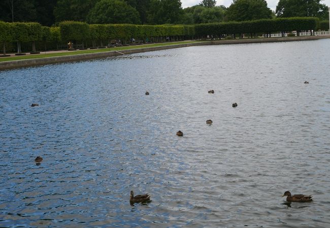 噴水の素晴らしい庭園